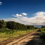 Fortuna Wellness Vendeghaz Vendégház *