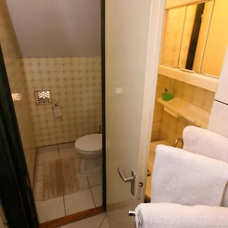 Πανσιόν Fortuna Wellness Vendeghaz *