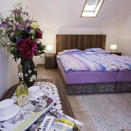 Fortuna Wellness Vendeghaz Maison d'hôtes