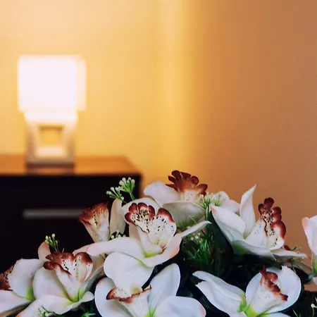 Fortuna Wellness Vendeghaz Abádszalók