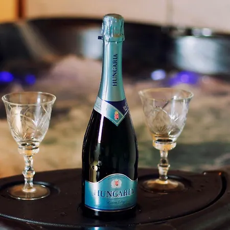 Maison d'hôtes Fortuna Wellness Vendeghaz
